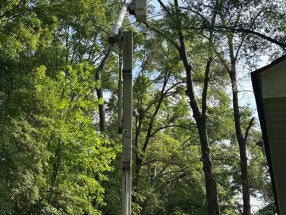 El Costeño Tree Service LLC